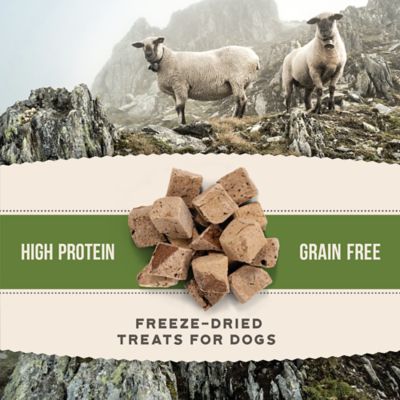 Image showing  Lamb Liver Bites High-Protein Freeze-Dried Dog Treats, 4 oz.