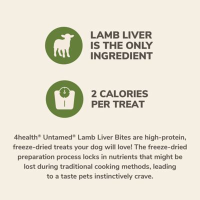 Image showing  Lamb Liver Bites High-Protein Freeze-Dried Dog Treats, 4 oz.