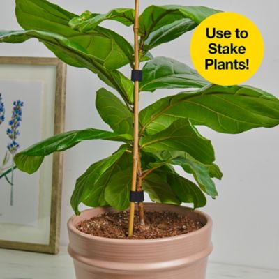 Image showing  Self-Gripping Perforated Roll, A402-12X75PBL