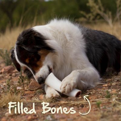 Image showing  Large Filled Bone Natural BBQ