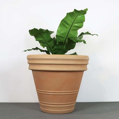 Image showing  20 in. Anturio Planter