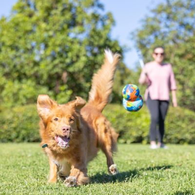 Image showing  Eco Fetch Tumbler