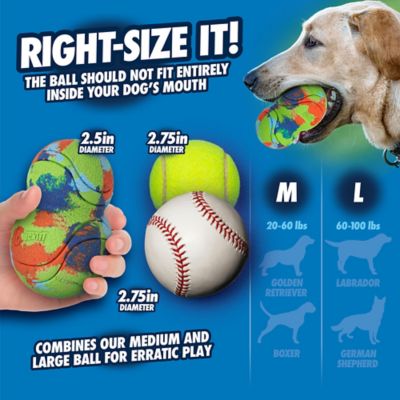 Image showing  Eco Fetch Tumbler