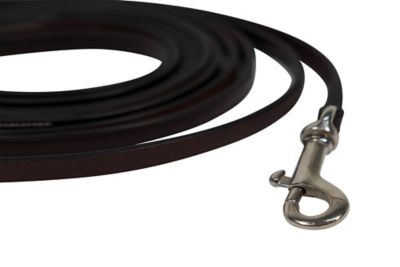 Image showing  Sedgwick Leather Draw Reins, Training Reins with Snap Ends