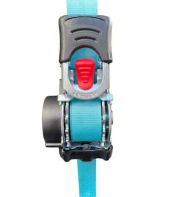 Image showing  1 in. x 6 ft. Retractable Straps, 500 lb., 4-Pack