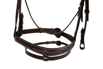 Image showing  Fancy Stitched Bridle with Fixed Flash