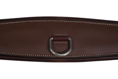 Image showing  Fancy Stitched Padded Leather Girth