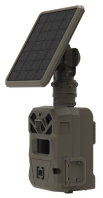 Image showing  40 MP Multi-Carrier Cellular Edge Solar Trail Camera
