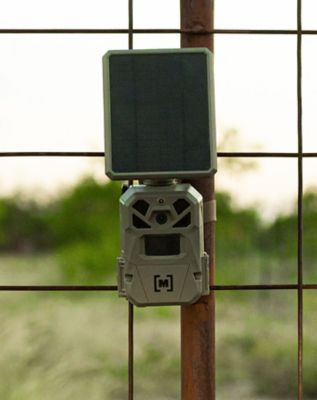 Image showing  40 MP Multi-Carrier Cellular Edge Solar Trail Camera