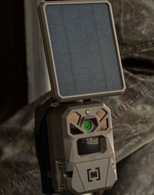 Image showing  40 MP Multi-Carrier Cellular Edge Solar Trail Camera