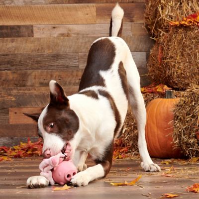 Image showing  Hambone Dog Toy