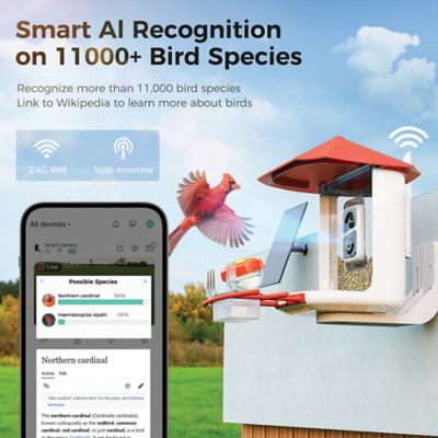Image showing  Smart Bird Feeder with Camera, Vermilion