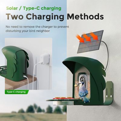 Image showing  AI-Recognition Smart Bird Feeder with Camera, Solar Powered, Forest Green