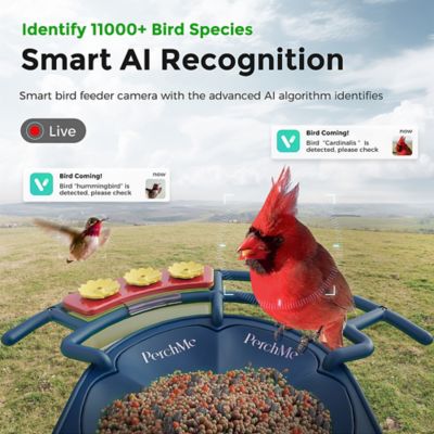 Image showing  AI-Recognition Smart Bird Feeder with Camera, Solar Powered, Navy Blue