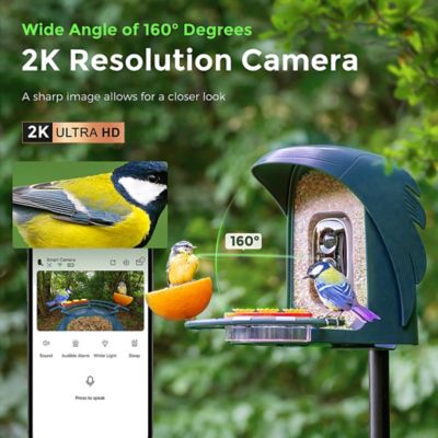 Image showing  AI-Recognition Smart Bird Feeder with Camera, Solar Powered, Navy Blue