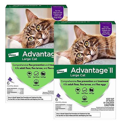 Advantage II for Cats