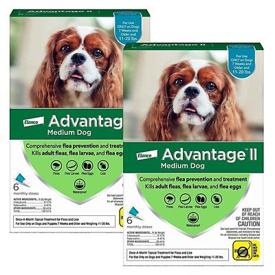 Advantage II for Dogs