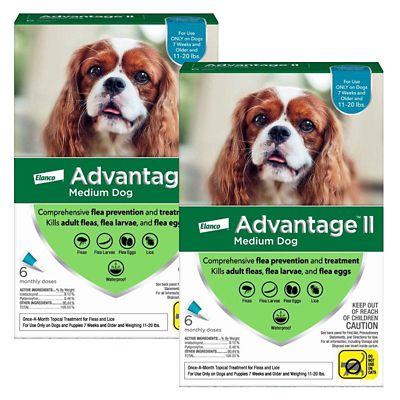 Image showing  II Flea Topical Treatment for Dogs, 6 Month Supply