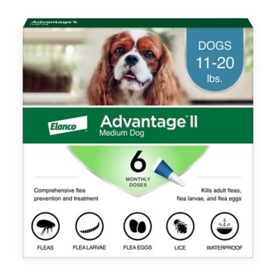 Image showing  II Flea Topical Treatment for Dogs, 6 Month Supply