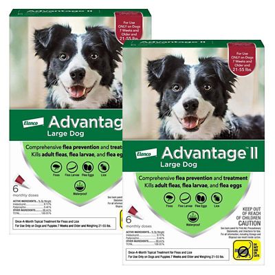 Image showing  II Flea Topical Treatment for Dogs, 6 Month Supply
