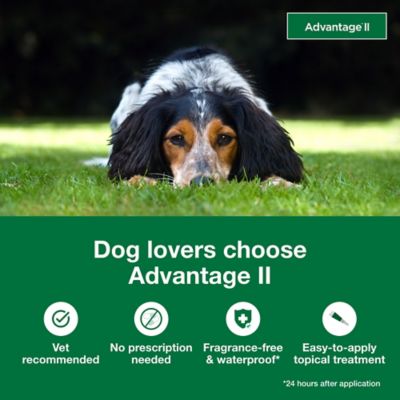 Image showing  II Flea Topical Treatment for Dogs, 6 Month Supply