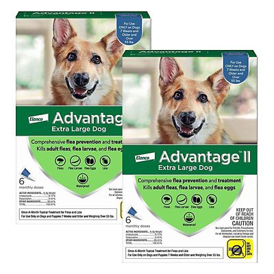 Advantage II for Dogs