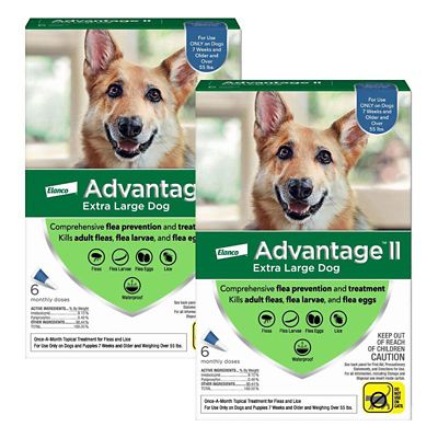 Image showing  II Flea Topical Treatment for Dogs, 6 Month Supply