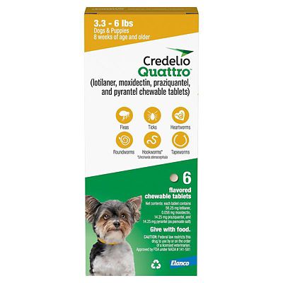 Image showing  Quattro Flea and Tick Flavored Chewable Tablet for Dogs and Puppies