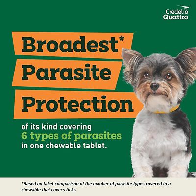 Image showing  Quattro Flea and Tick Flavored Chewable Tablet for Dogs and Puppies