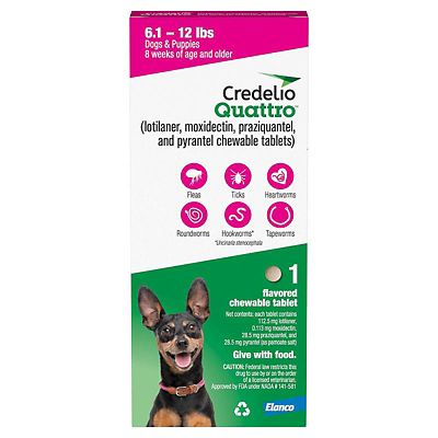 Image showing  Quattro Flea and Tick Flavored Chewable Tablet for Dogs and Puppies