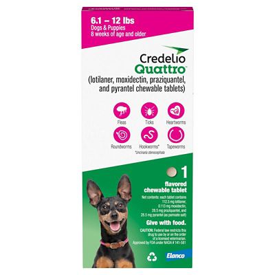 Image showing  Quattro Flea and Tick Flavored Chewable Tablet for Dogs and Puppies