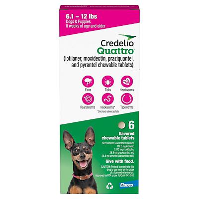 Image showing  Quattro Flea and Tick Flavored Chewable Tablet for Dogs and Puppies