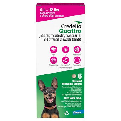 Image showing  Quattro Flea and Tick Flavored Chewable Tablet for Dogs and Puppies