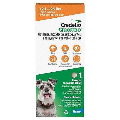 Image showing  Quattro Flea and Tick Flavored Chewable Tablet for Dogs and Puppies