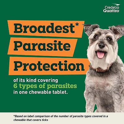 Image showing  Quattro Flea and Tick Flavored Chewable Tablet for Dogs and Puppies