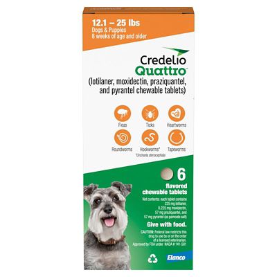 Image showing  Quattro Flea and Tick Flavored Chewable Tablet for Dogs and Puppies