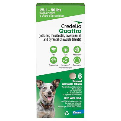 Image showing  Quattro Flea and Tick Flavored Chewable Tablet for Dogs and Puppies