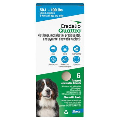 Image showing  Quattro Flavored Chewable Tablet for Dogs and Puppies