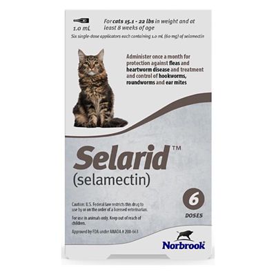 Image showing  (Selamectin) Topical for Cats