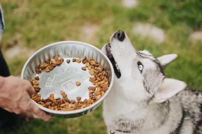 Image showing  2 Quart Galvanized Steel Utility Pan