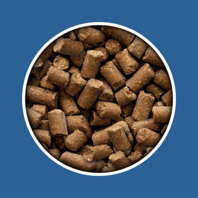 Image showing  12% All Natural Cubed Cattle Feed, 50 lb. Bag
