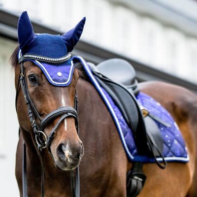 Image showing  Constellation Fly Veil