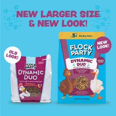 Image showing  Dynamic Duo