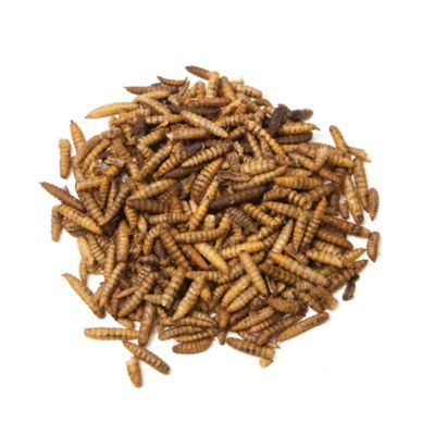 Image showing  Fly Fiesta Poultry Treats