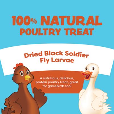 Image showing  Fly Fiesta Poultry Treats