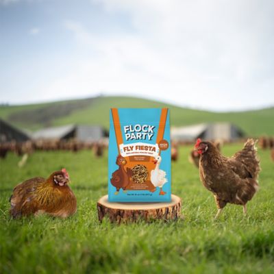 Image showing 7 th Flock Party Fly Fiesta Poultry Treats