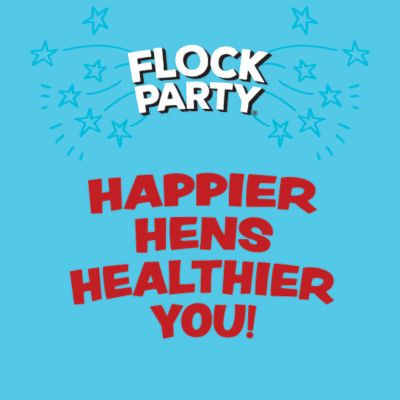 Image showing 5 th Flock Party Mealworm Poultry Treats