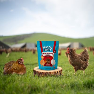 Image showing 6 th Flock Party Mealworm Poultry Treats