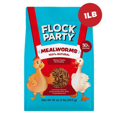 Flock Party Mealworms 1 lb.
