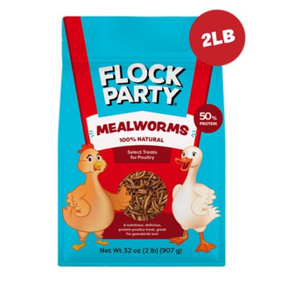 Flock Party Mealworms 2 lb.